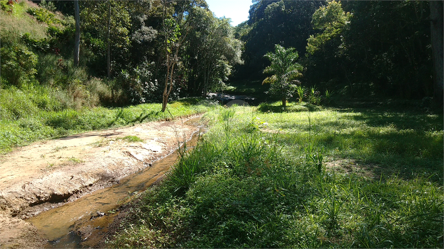 Venda Sítio Mairiporã Serra Da Cantareira REO389593 22