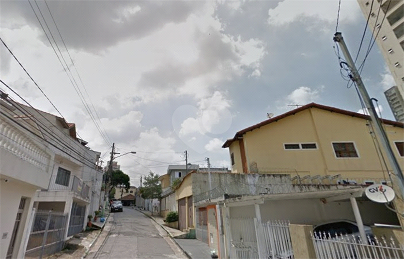 Foto REO389787