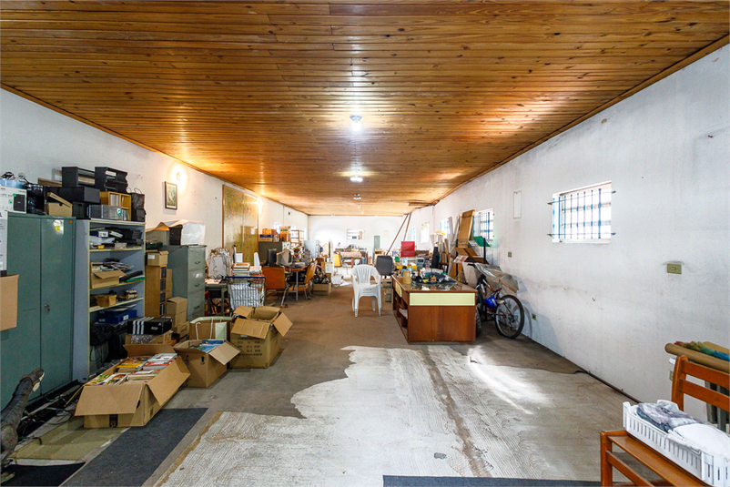 Foto REO390184