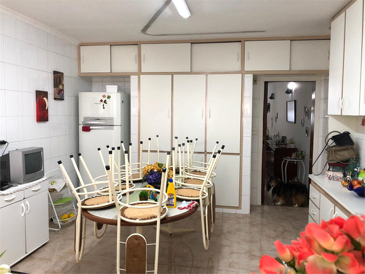 Foto REO390345