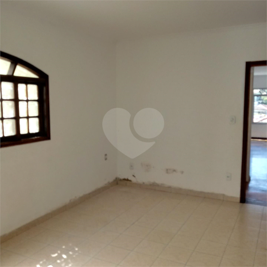 Foto REO390563
