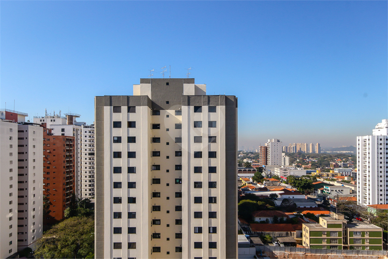 Foto REO390638