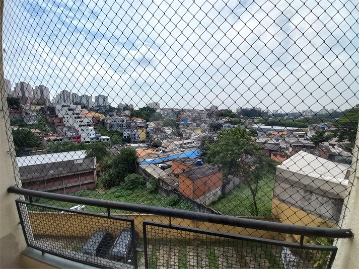 Foto REO390706
