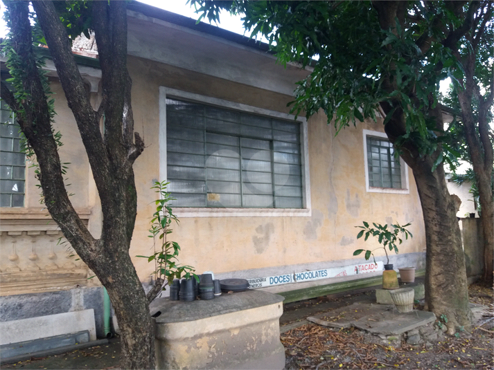 Foto REO390800