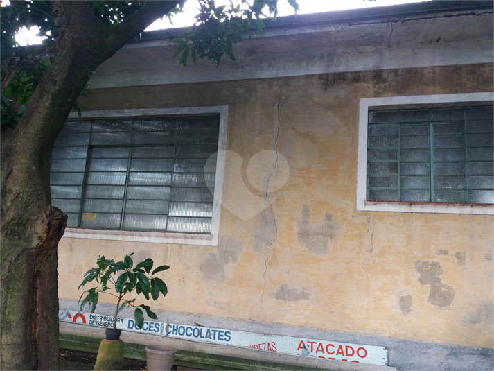 Foto REO390800