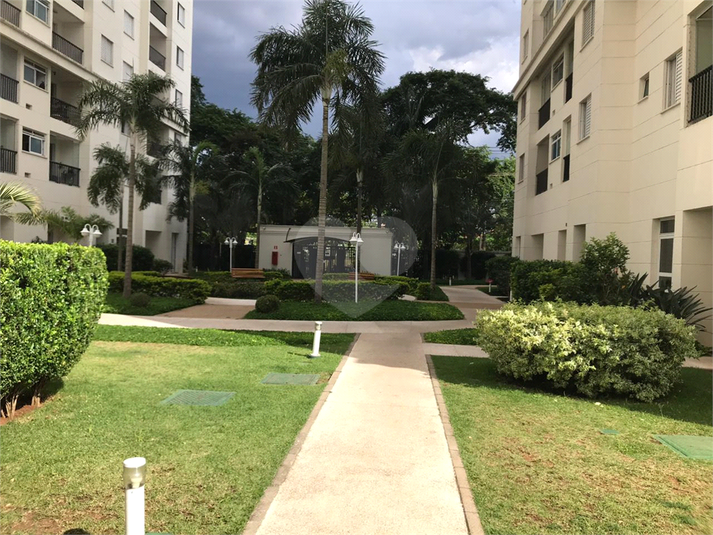 Aluguel Apartamento São Paulo Vila Anastácio REO39134 12