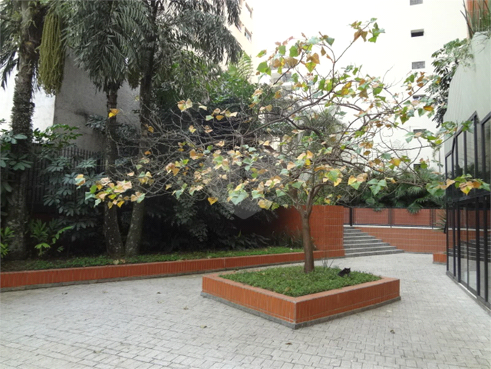 Foto REO391687