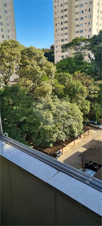 Venda Apartamento São Paulo Vila Irmãos Arnoni REO391689 20