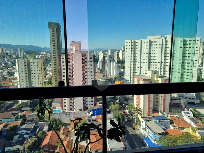 Foto REO391748