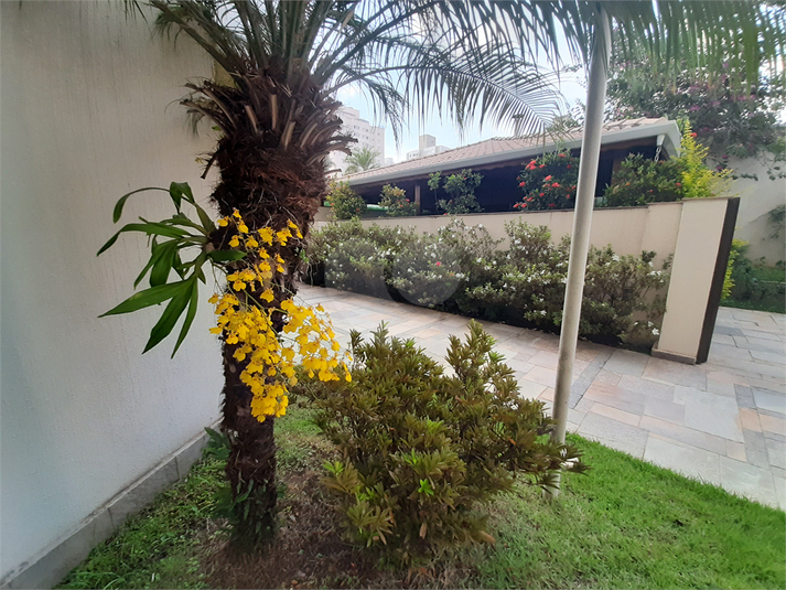 Foto REO391748