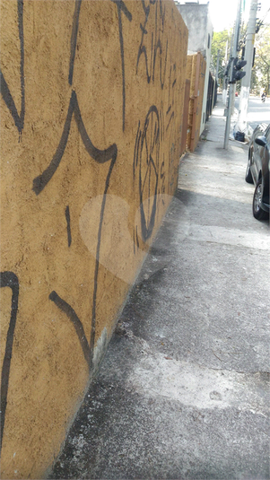 Foto REO391767