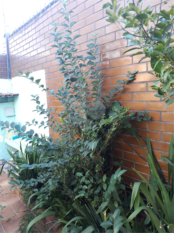 Venda Sobrado São Paulo Jardim Santa Fé (zona Oeste) REO391791 6