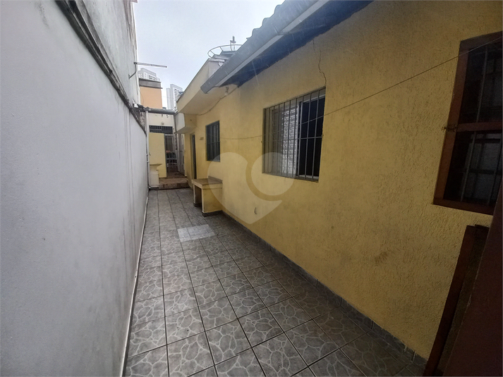 Foto REO392435