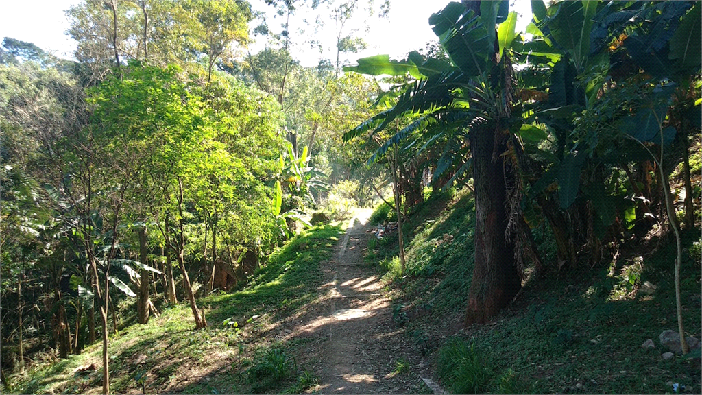 Venda Terreno São Paulo Lauzane Paulista REO392524 12