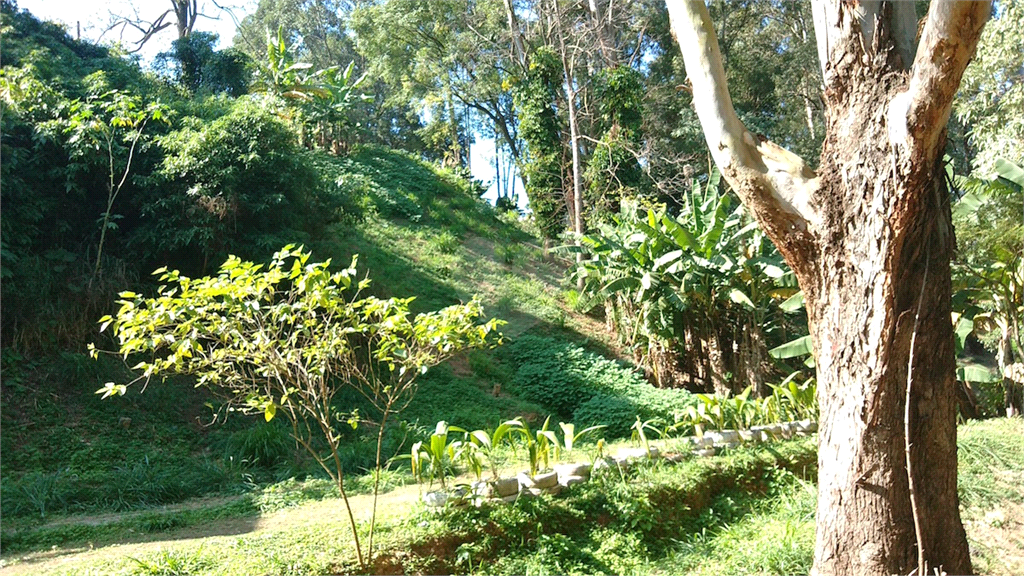 Venda Terreno São Paulo Lauzane Paulista REO392524 2