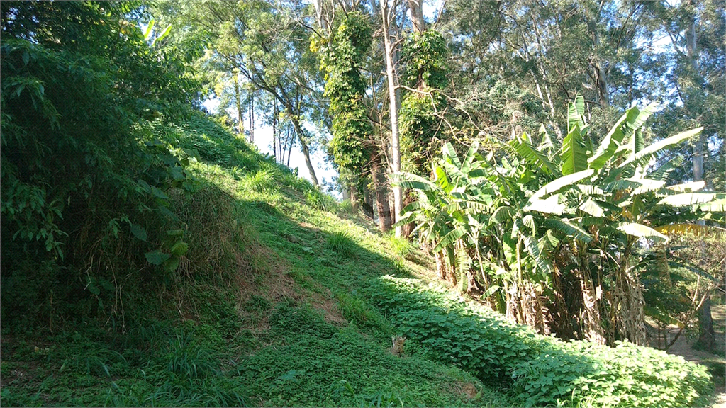 Venda Terreno São Paulo Lauzane Paulista REO392524 13