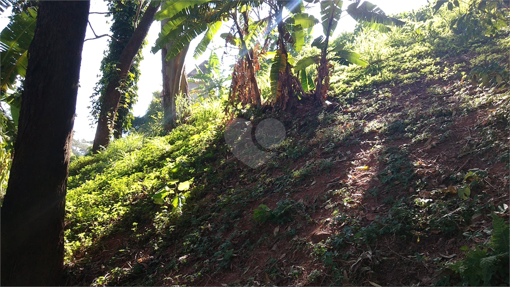 Venda Terreno São Paulo Lauzane Paulista REO392524 3