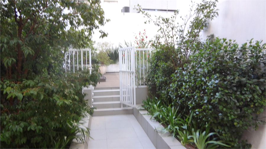 Foto REO392681