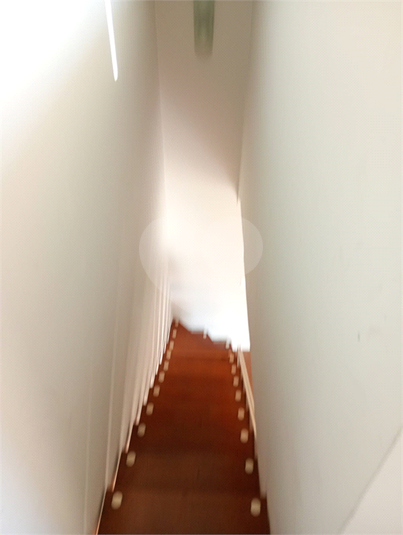 Foto REO392681