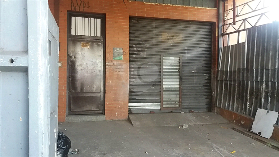 Foto REO393081