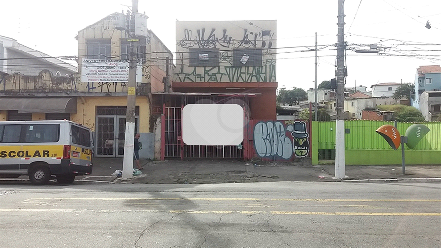 Foto REO393081