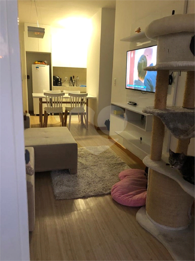 Foto REO393187