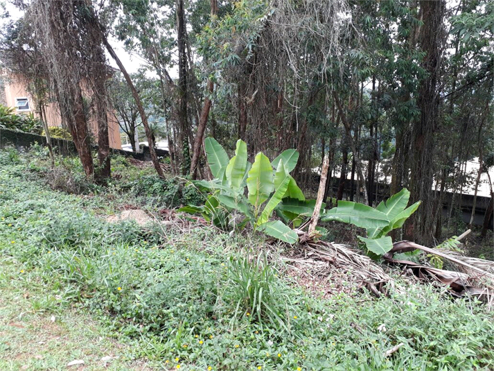 Venda Terreno Mairiporã Suiça Cantareira REO393490 17