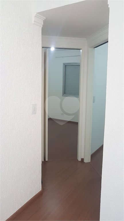 Venda Apartamento São Paulo Jardim Maristela REO393728 5