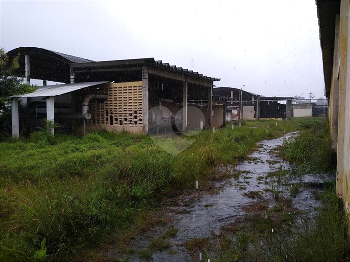 Venda Terreno Caucaia Tabapuá REO394278 8