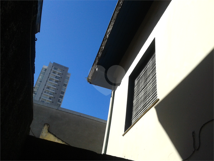 Foto REO394333