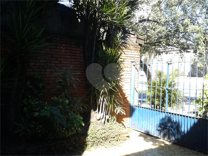 Foto REO394333