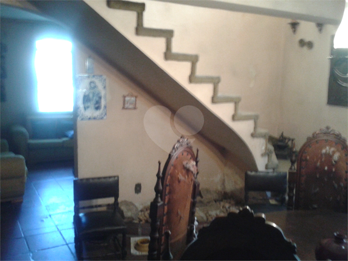 Foto REO394333