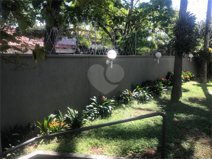 Foto REO394517