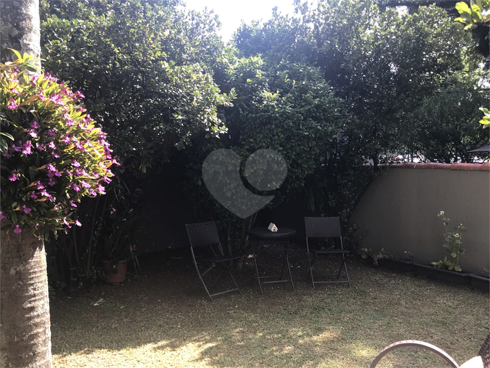 Foto REO394517