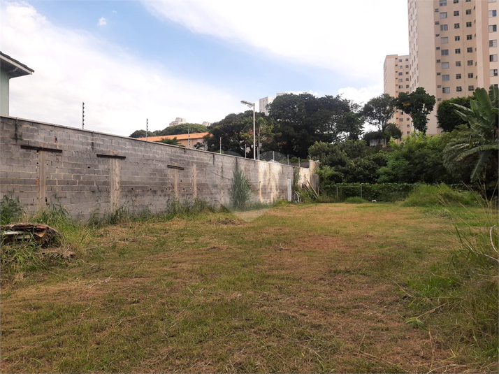 Aluguel Terreno São Paulo Mandaqui REO394772 14