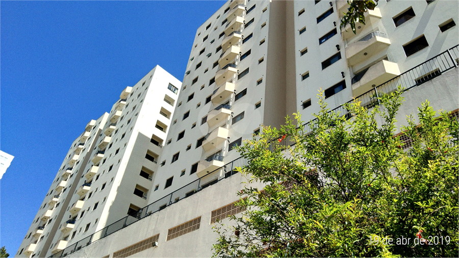 Foto REO394802