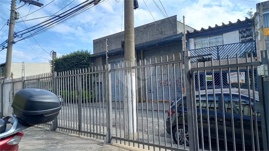 Foto REO395842