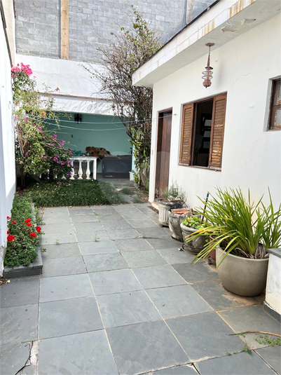 Foto REO395966