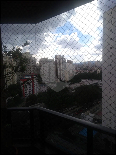 Foto REO396227