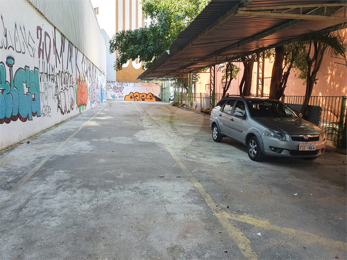 Foto REO396789