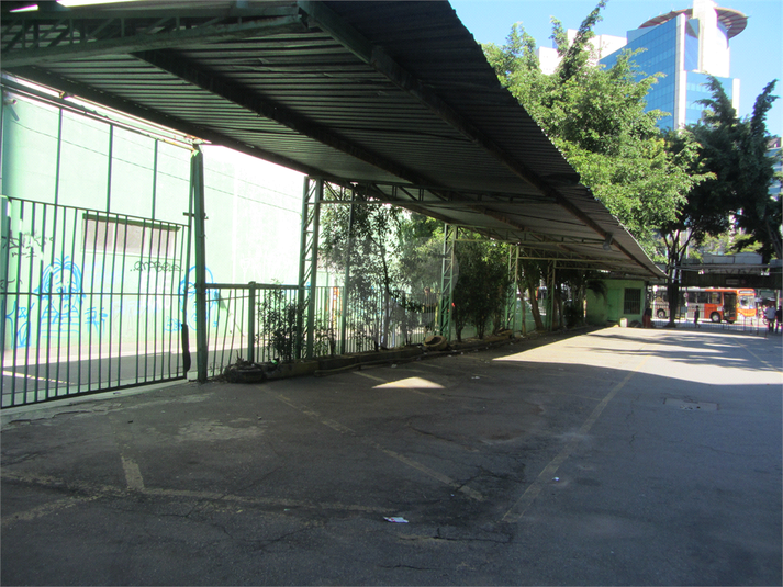 Foto REO396789