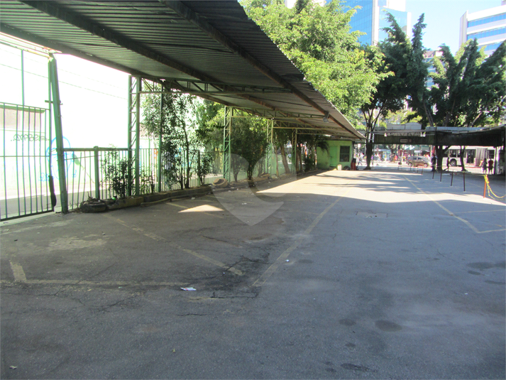 Foto REO396789