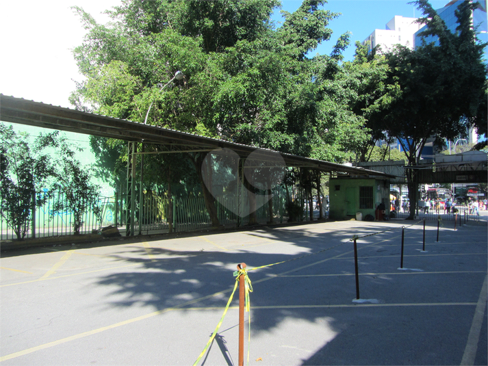 Foto REO396789