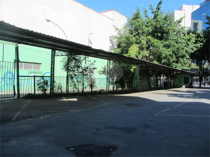 Foto REO396789