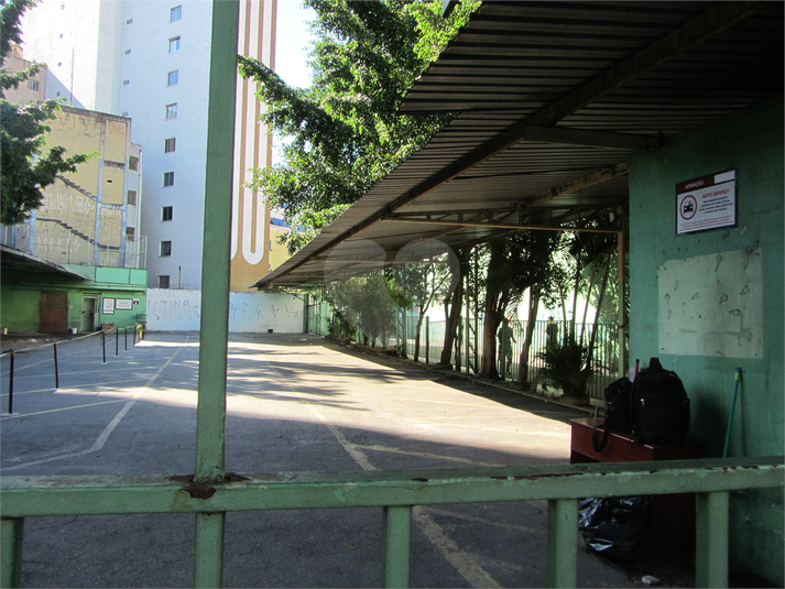 Foto REO396789