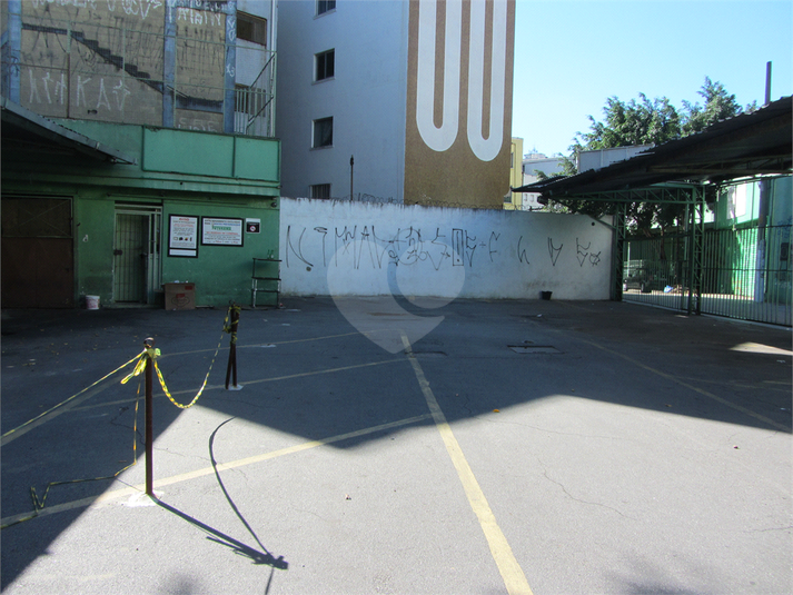 Foto REO396789