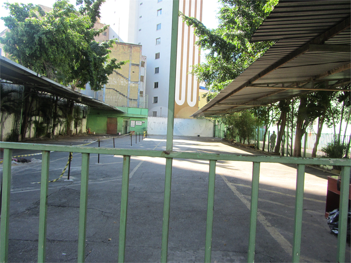 Foto REO396789
