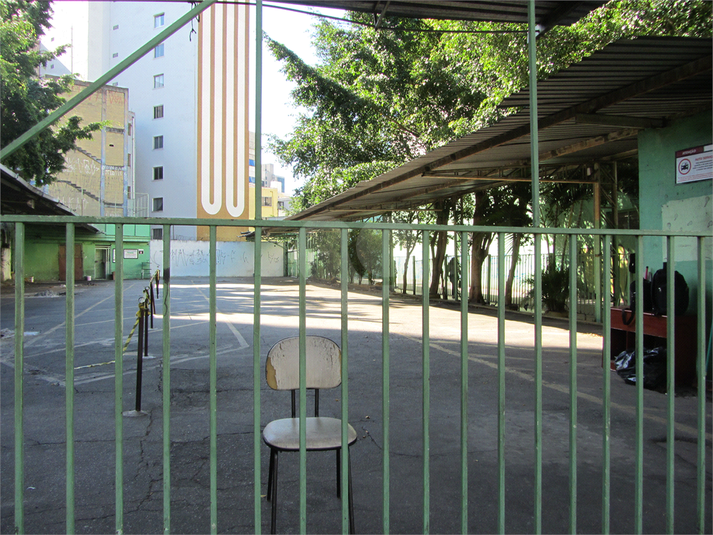 Foto REO396789