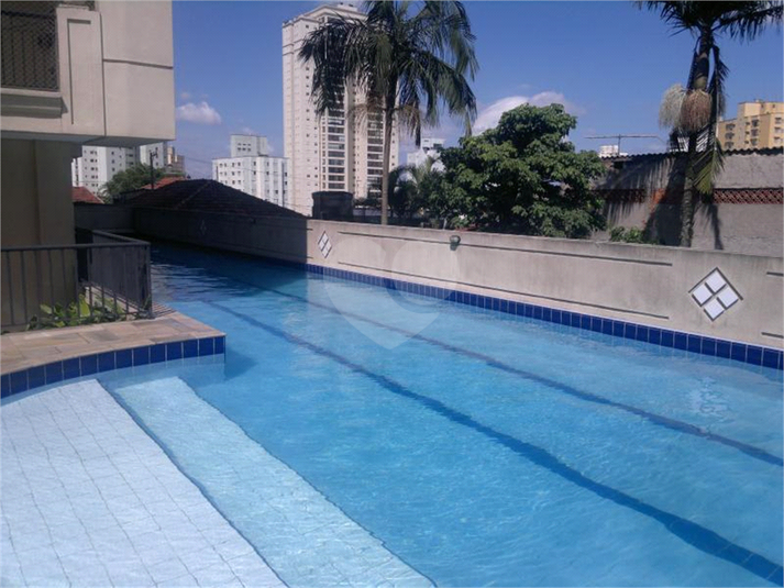 Foto REO397527