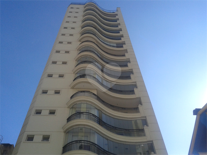 Foto REO397527